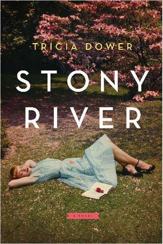 Stony River - Tricia Dower