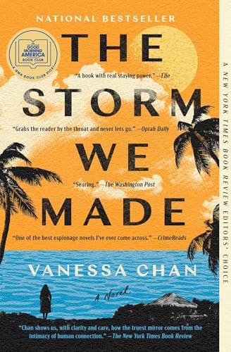 The Storm We Made - Vanessa Chan