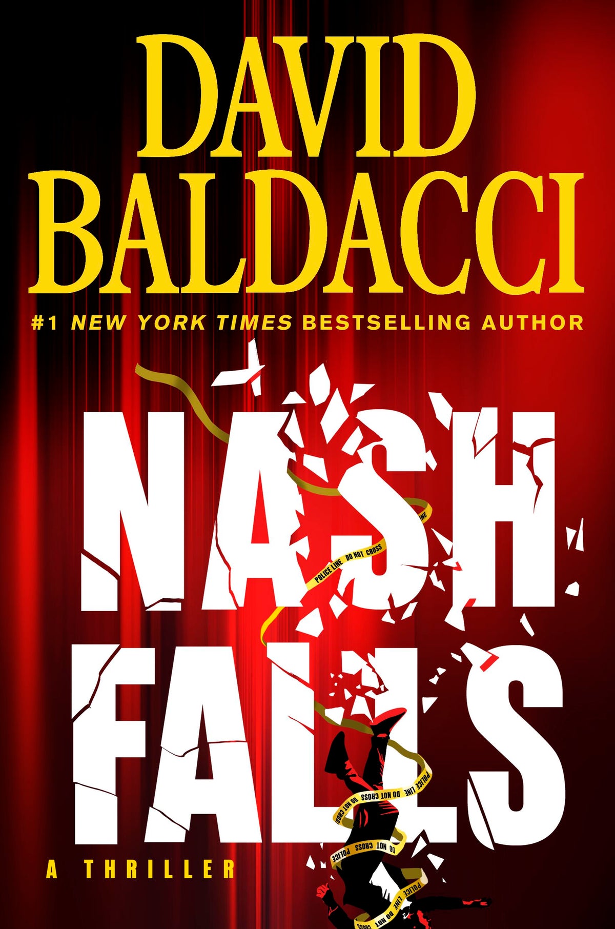 Nash Falls (U) - David Baldacci