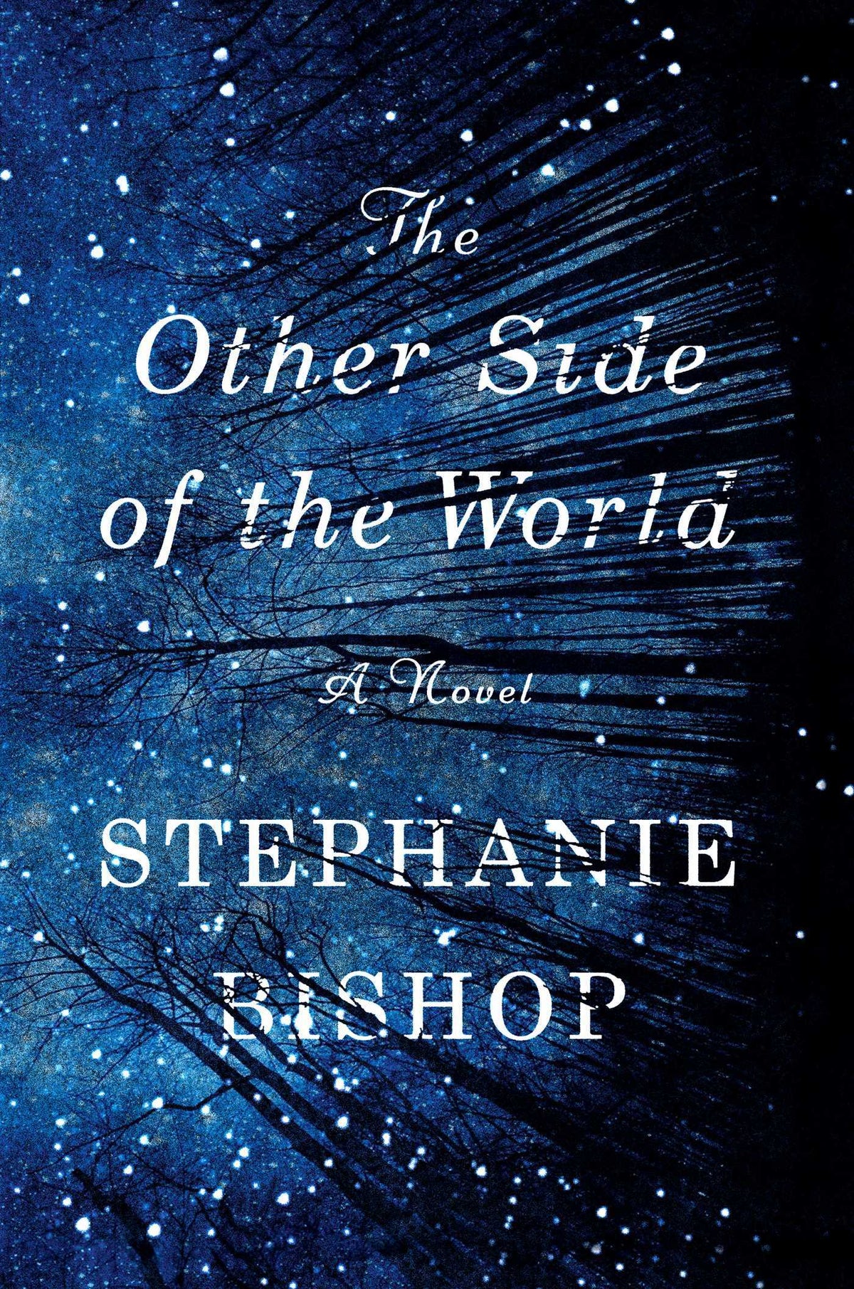 The Other Side of the World - Stephanie Bishop