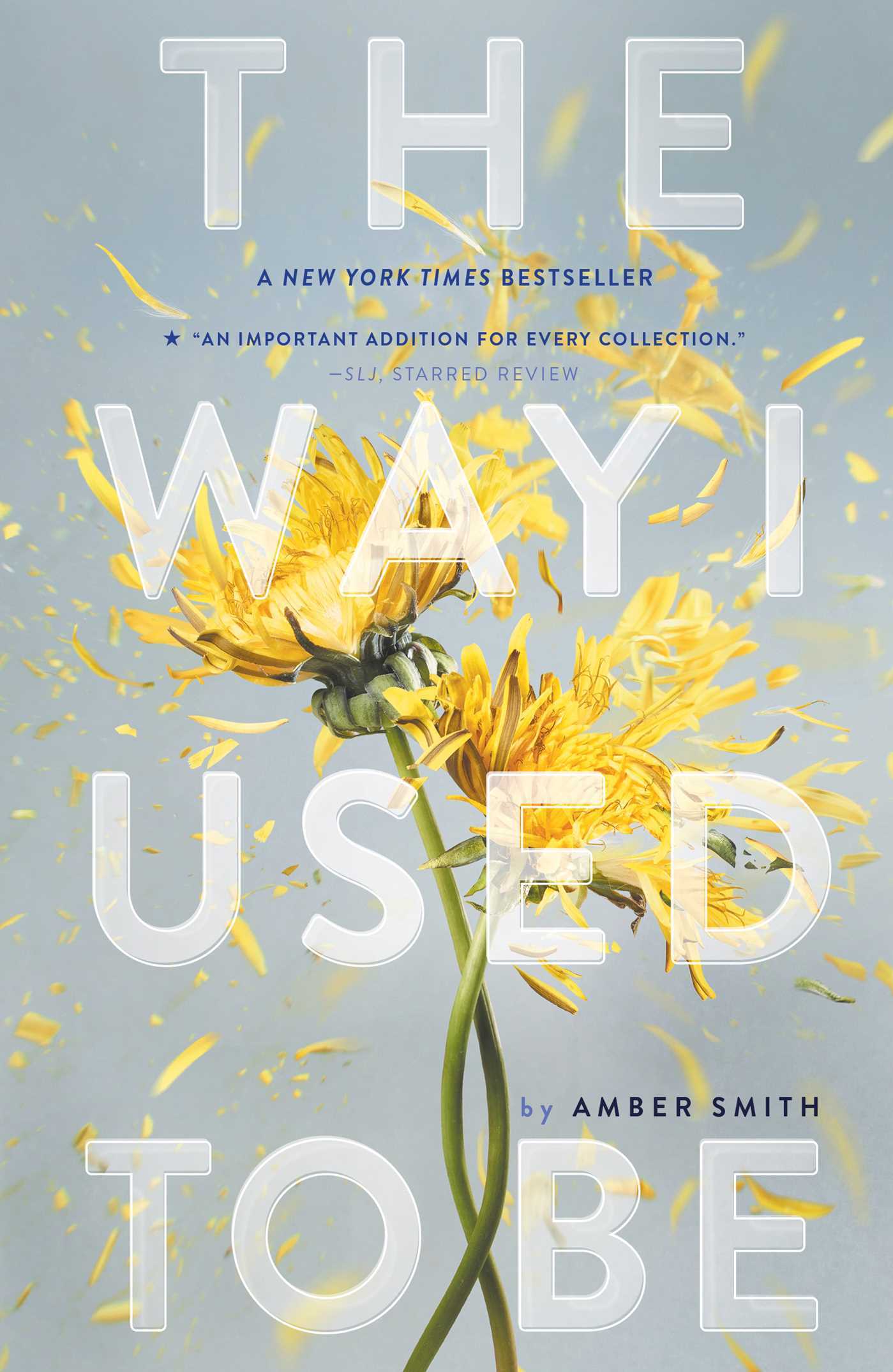 The Way I Used to Be - Amber Smith