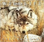 Wildlife: The Nature Paintings of Carl Brenders - Carl Brenders