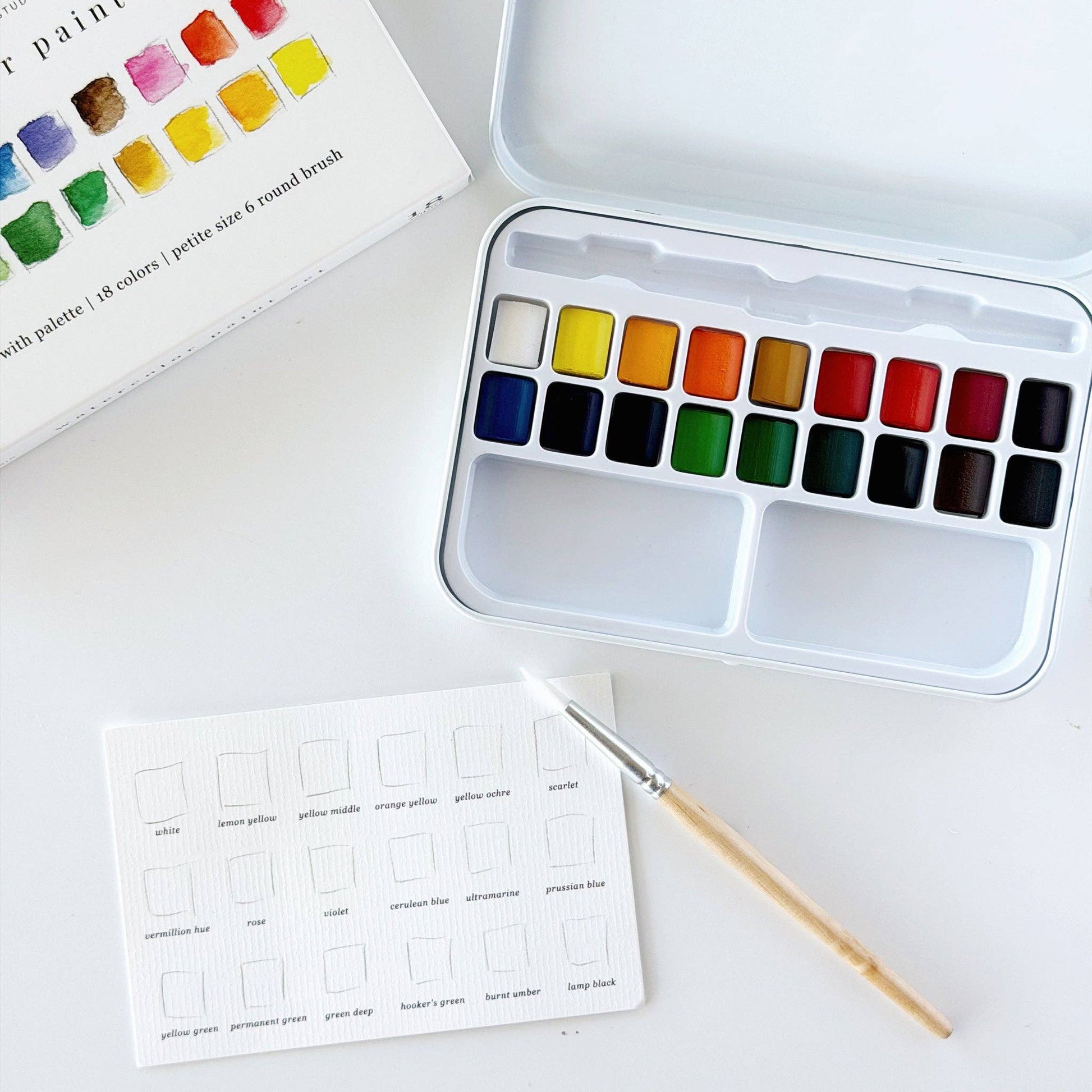 Watercolor Paint Set - Emily Lex Studio