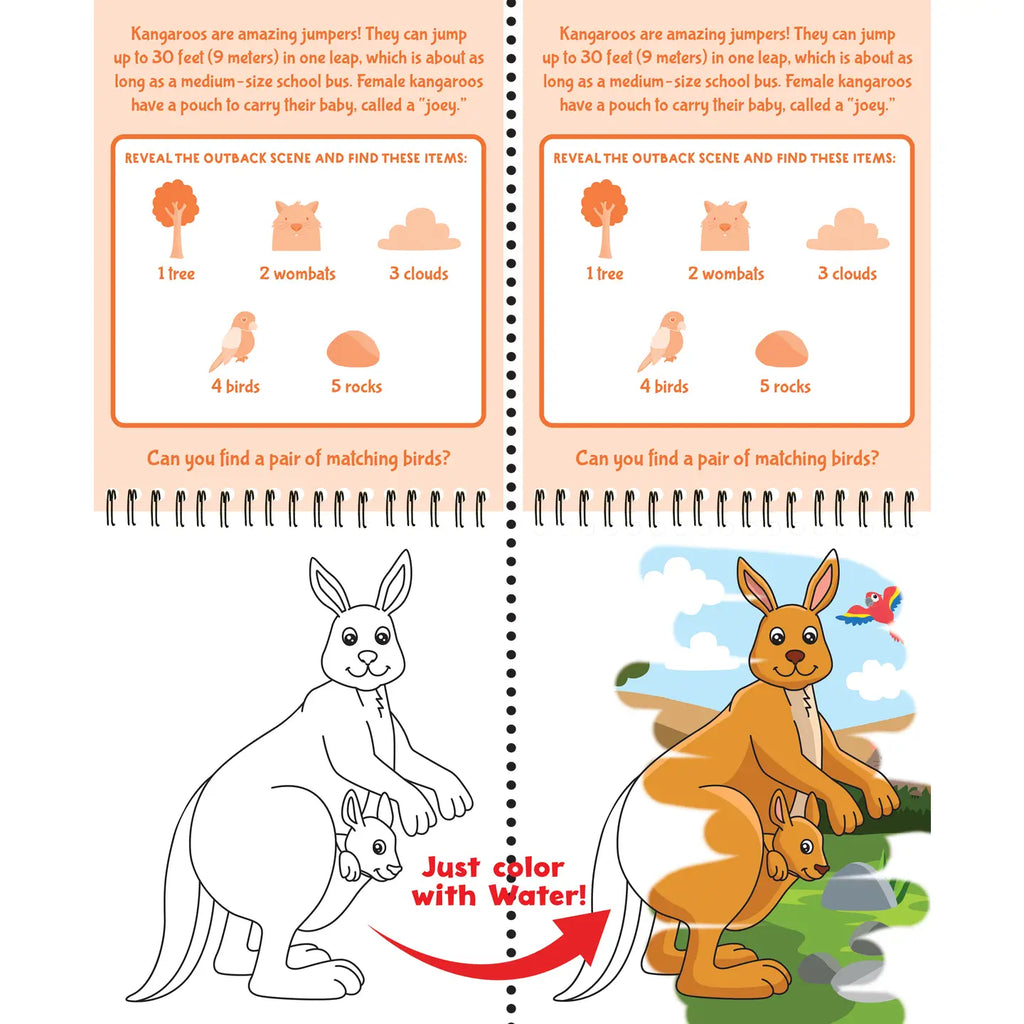 Color With Water - Wild Animals