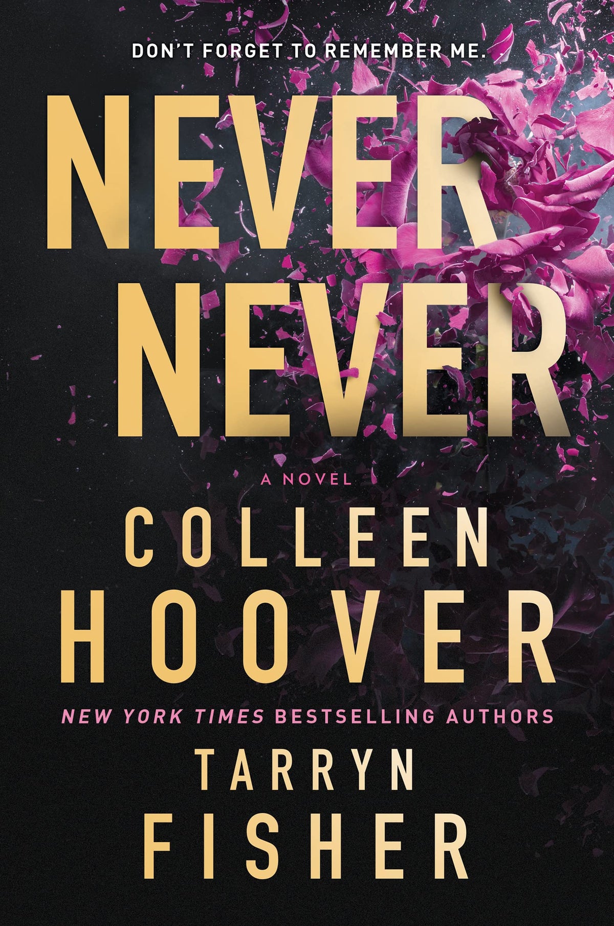 Never Never - Colleen Hoover