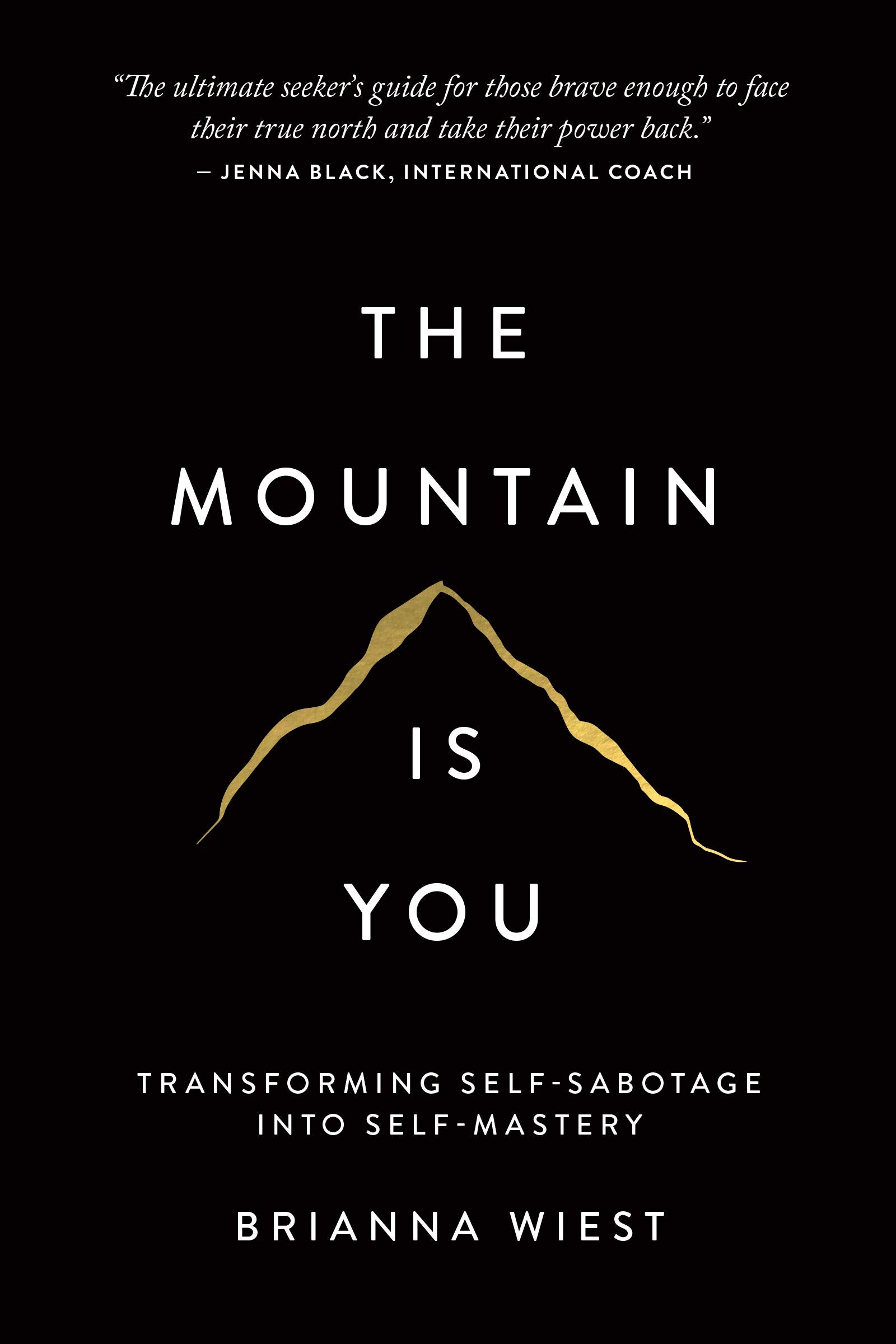 The Mountain is You - Brianna Wiest