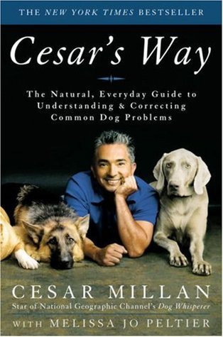 Cesar's Way: The Natural, Everyday Guide to Understanding & Correcting Common Dog Problems - Cesar Millan
