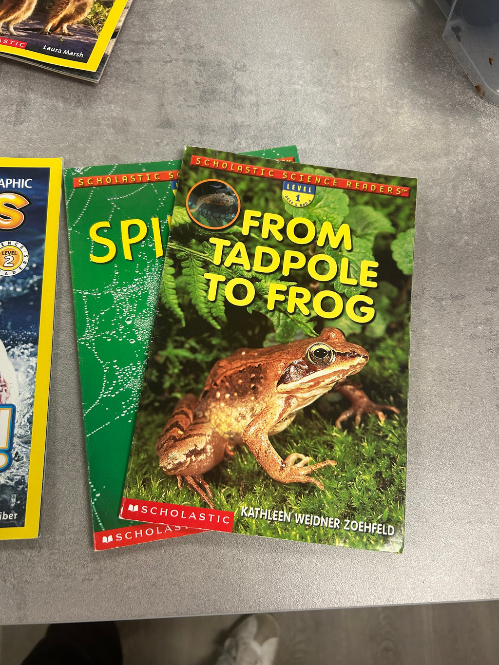 Misc 10 pc Book Set - Nature/Animal