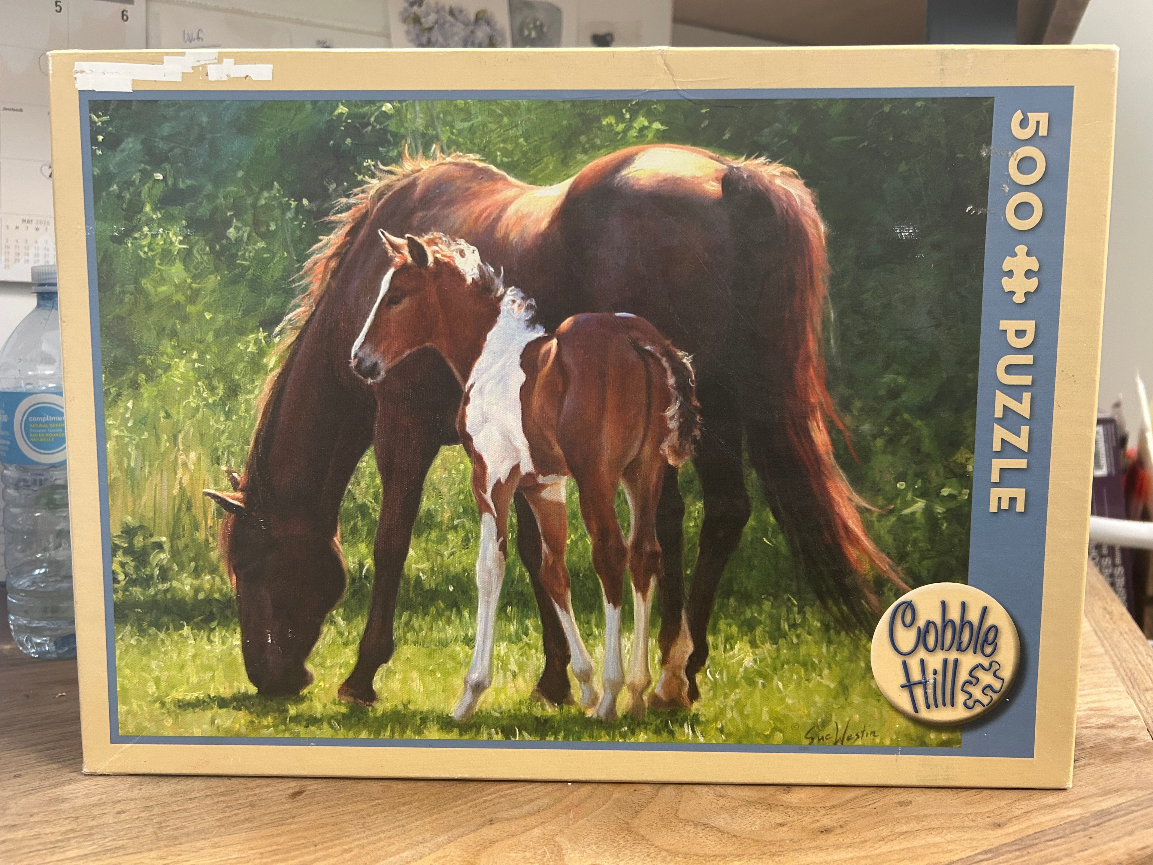 Sun Splashed - 500 Pieces - Cobble Hill Puzzle