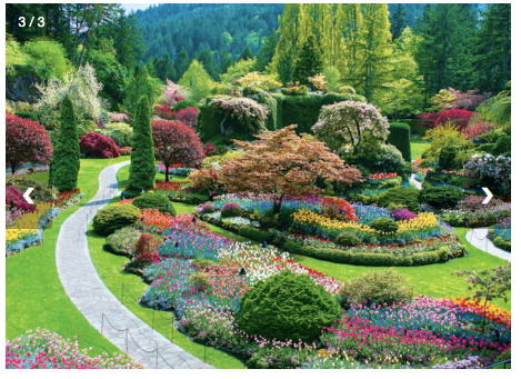 The Butchart Gardens - Sunken Garden - 1000 pieces - Eurographics