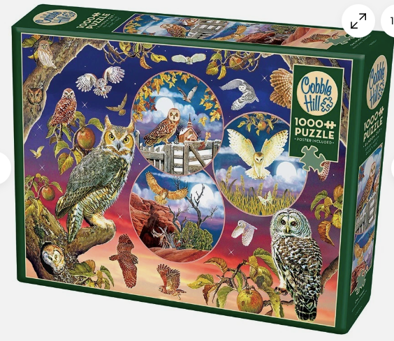 Owl Magic - 1000 pieces - Cobble Hill Puzzle