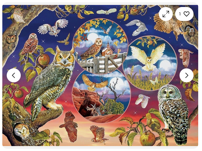 Owl Magic - 1000 pieces - Cobble Hill Puzzle