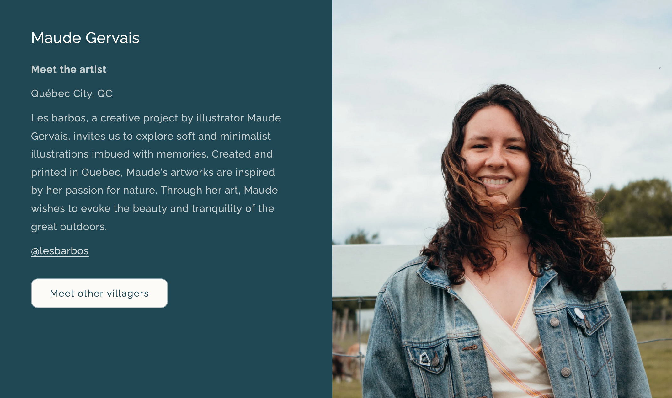 Sunset Ski - Villager Puzzles