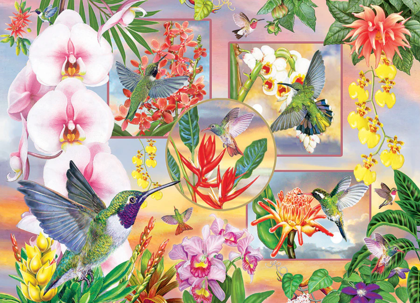 Hummingbird Magic - 500 pieces - Cobble Hill Puzzle