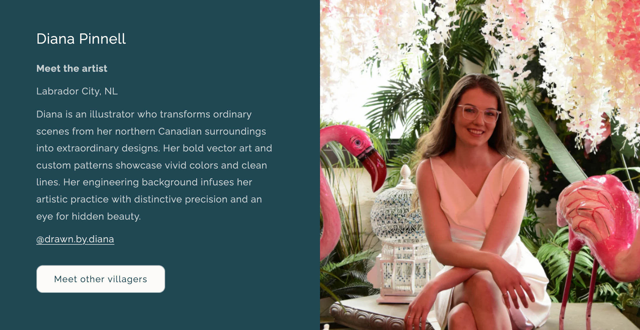 Northern Cabin - Villager Puzzles