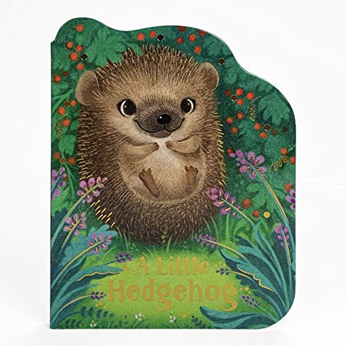 A Little Hedgehog - Rosalee Wren