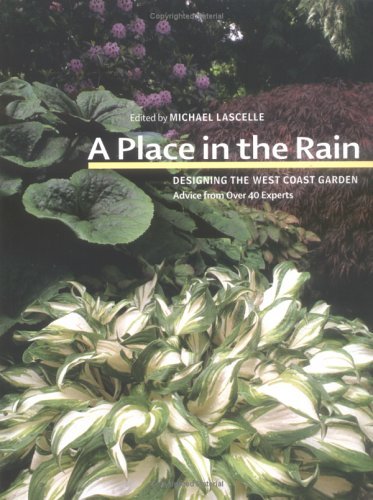 A Place in the Rain - Michael Lascelle
