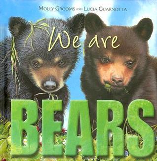 We Are Bears - Molly Grooms, Lucia Guarnotta