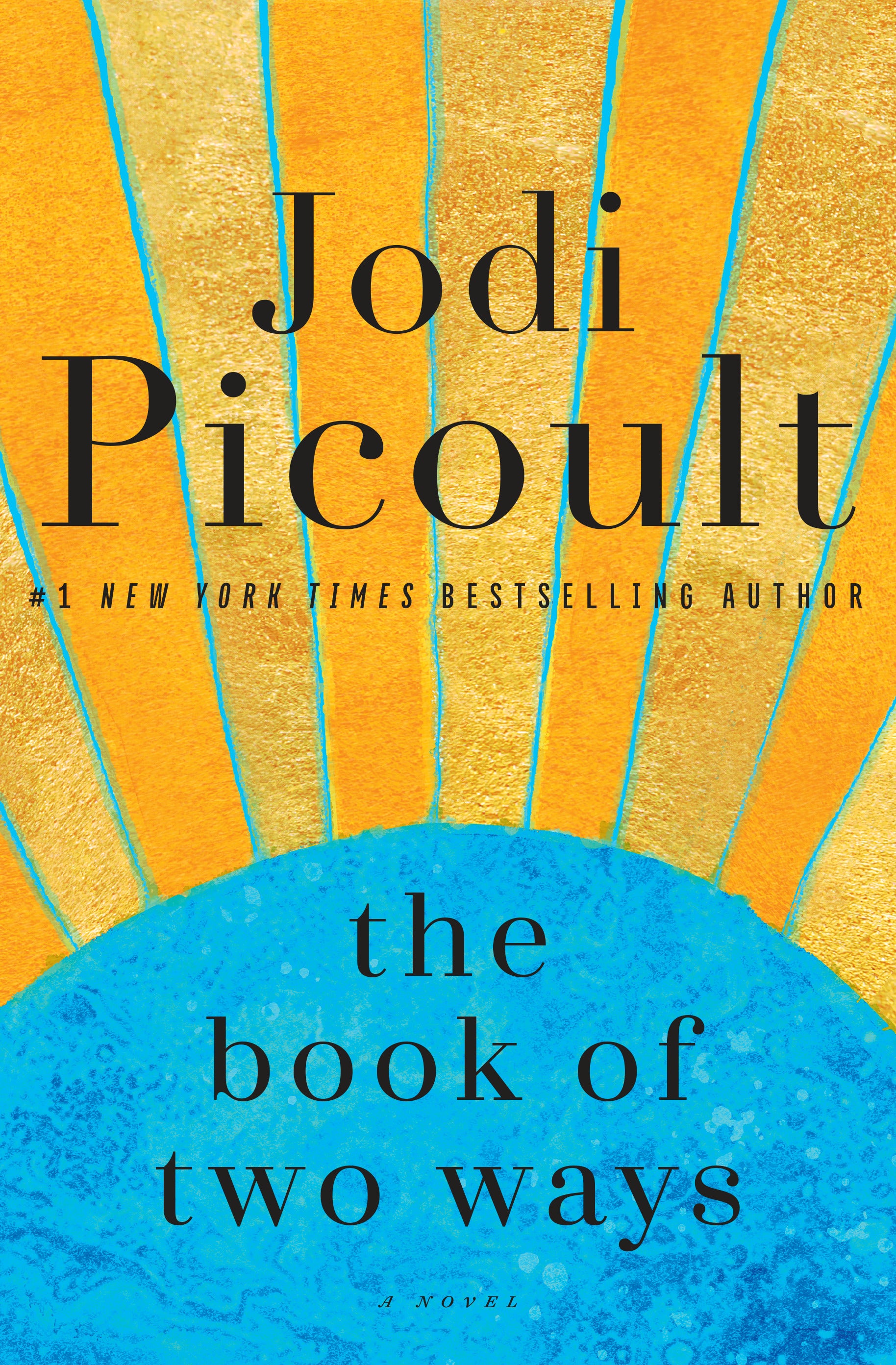 The Book of Two Ways - Jodi Picoult