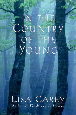 In the Country of the Young: A Haunting Story Where a Ghost Comforts an Artist Chained by Grief on a Maine Island - Lisa Carey