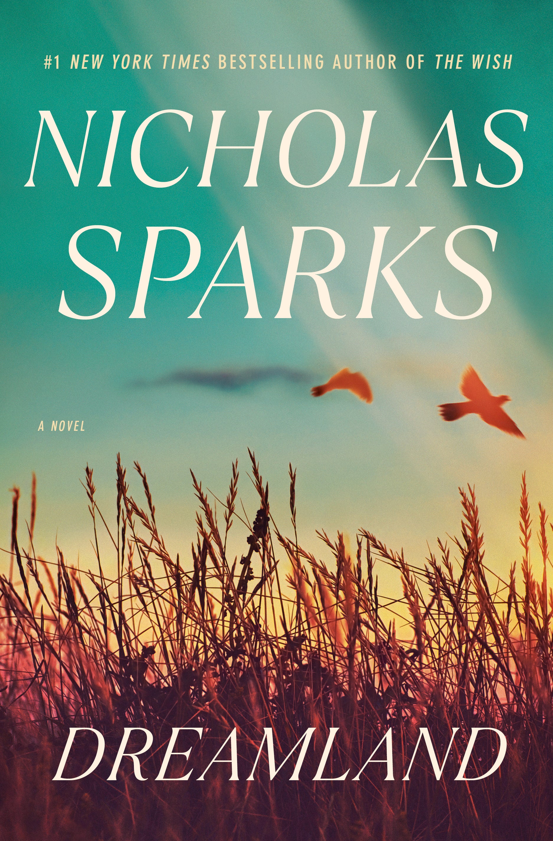 Dreamland - Nicholas Sparks