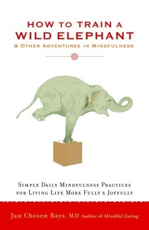 How to Train a Wild Elephant - Jan Chozen Bays