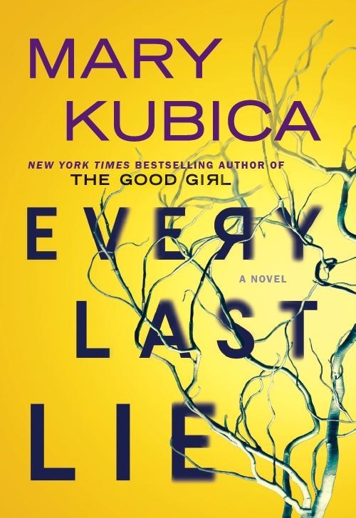 Every Last Lie - Mary Kubica