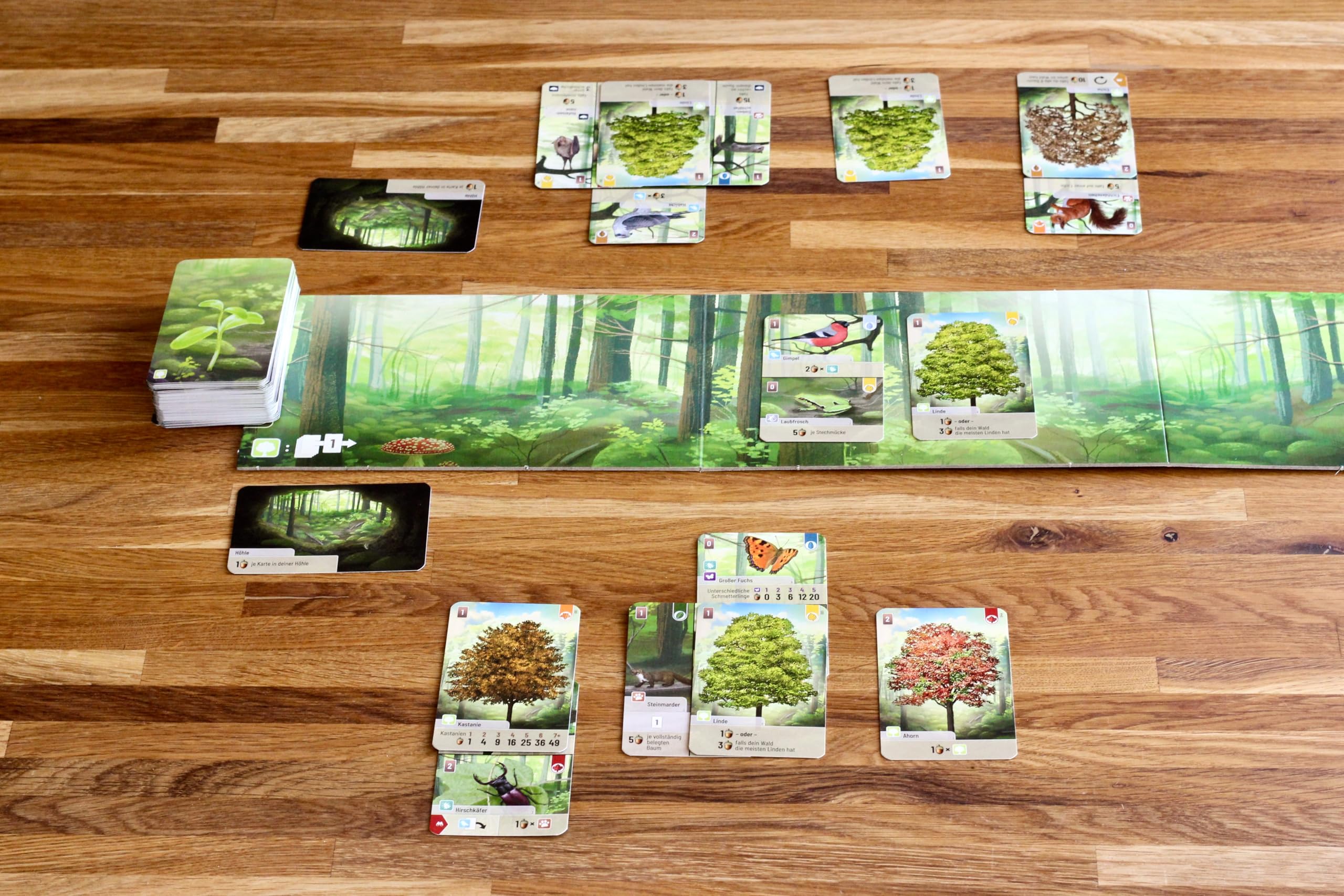 Forest Shuffle