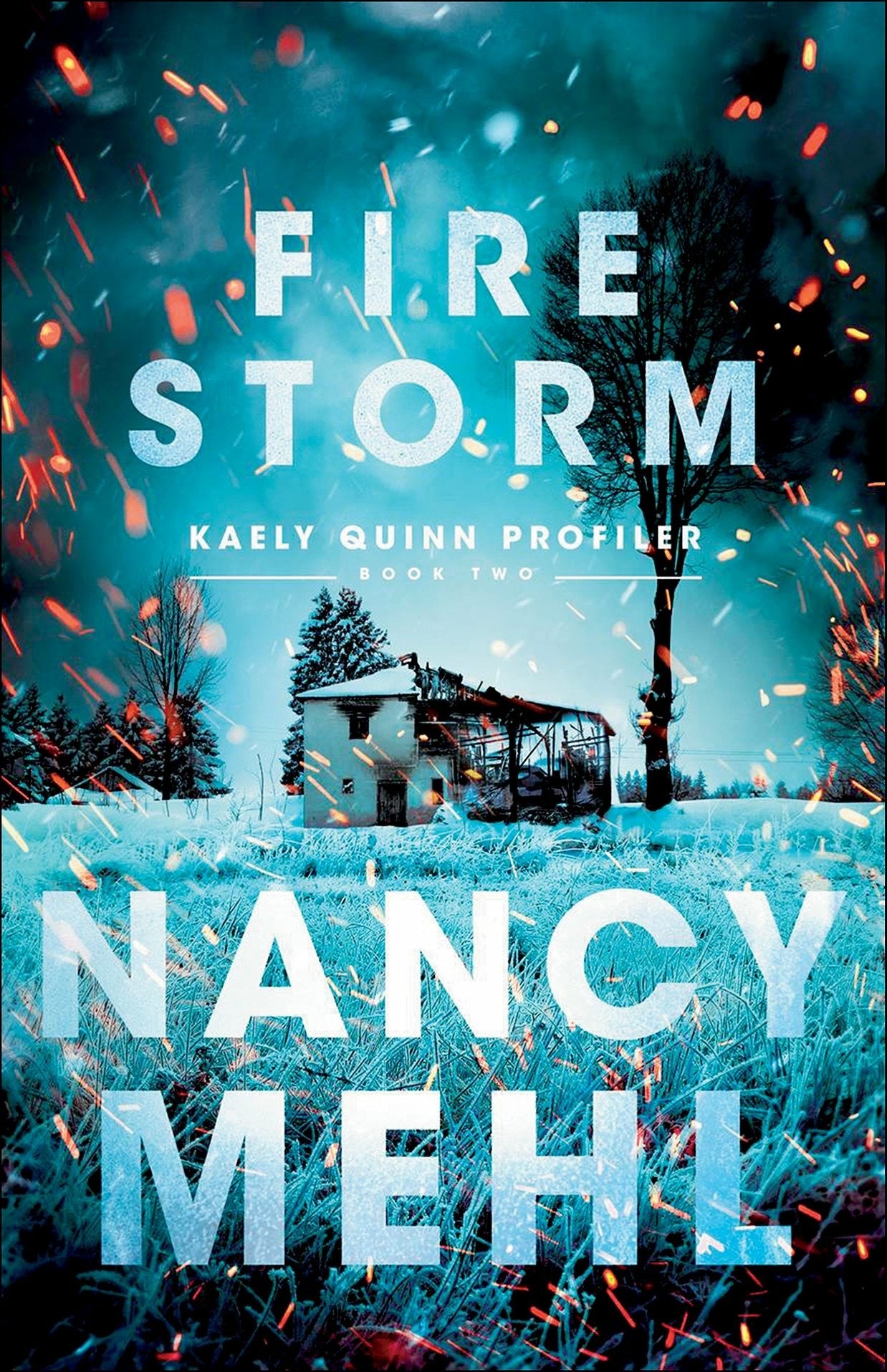 Fire Storm - Nancy Mehl