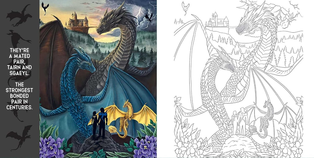 Fourth Wing - The Official Colouring Book