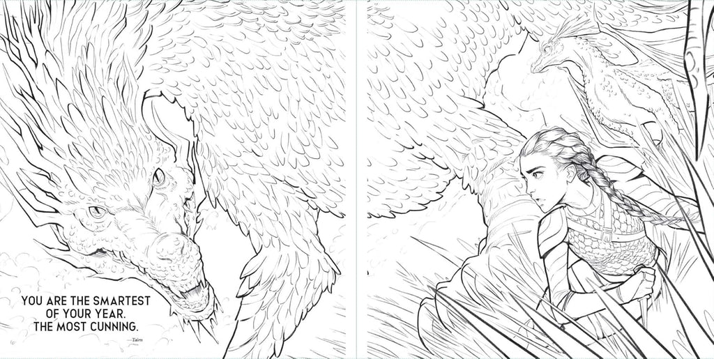 Fourth Wing - The Official Colouring Book
