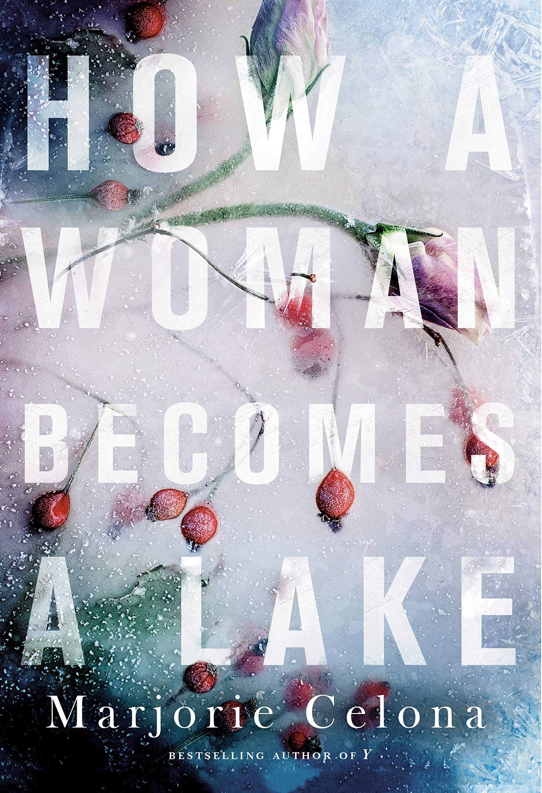 How a Woman Becomes a Lake - Marjorie Celona