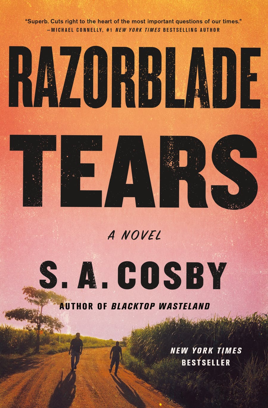 Razorblade Tears - S.A. Cosby