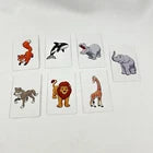 Sequence for Kids - Jax LTD.
