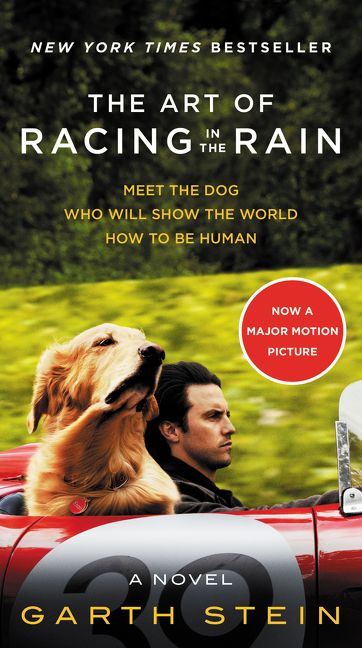 The Art of Racing in the Rain - Garth Stein