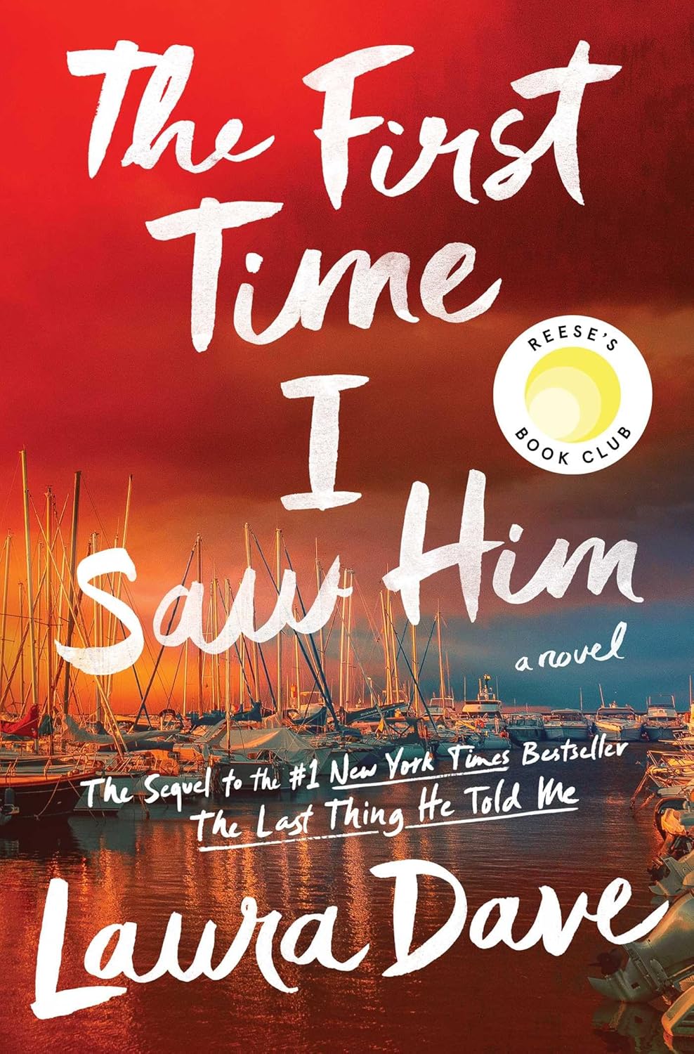 The First Time I Saw Him - Laura Dave