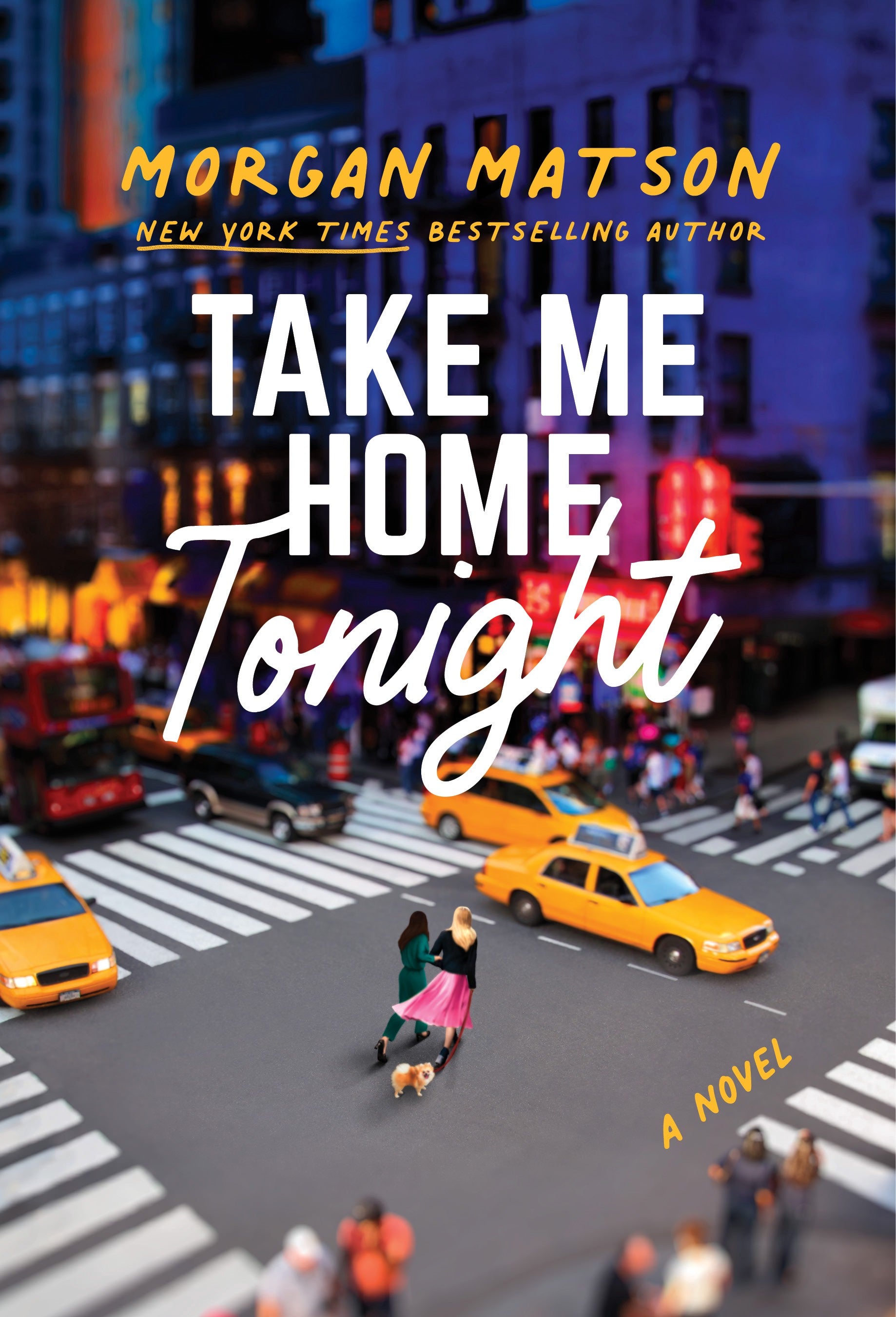 Take Me Home Tonight - Morgan Matson