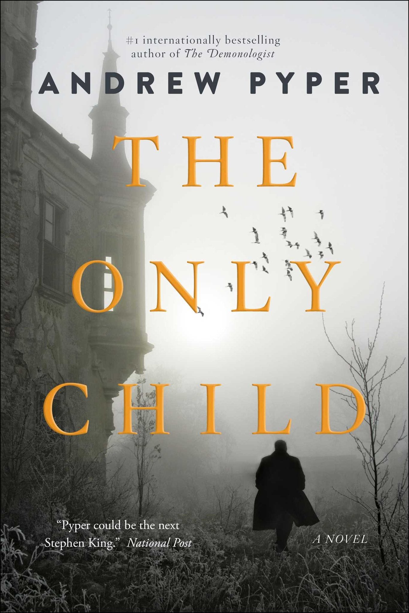 The Only Child - Andrew Pyper