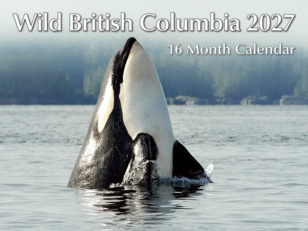 Wild British Columbia 16 month Calendar 2027